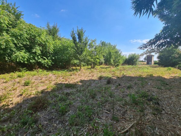 terreno edificabile in vendita a Megliadino San Vitale
