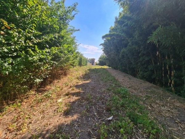 terreno agricolo in vendita a Megliadino San Vitale