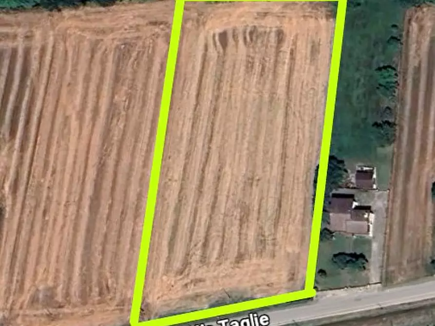 mansarda in vendita a Megliadino San Vitale