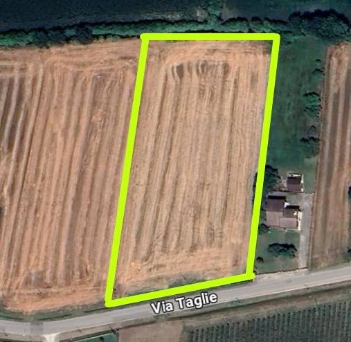 terreno agricolo in vendita a Megliadino San Vitale