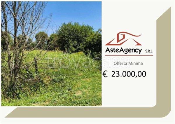 terreno agricolo in vendita a Megliadino San Vitale