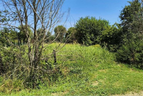 ufficio in vendita a Megliadino San Vitale