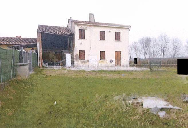 casa indipendente in vendita a Megliadino San Vitale