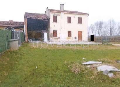 casa indipendente in vendita a Megliadino San Vitale