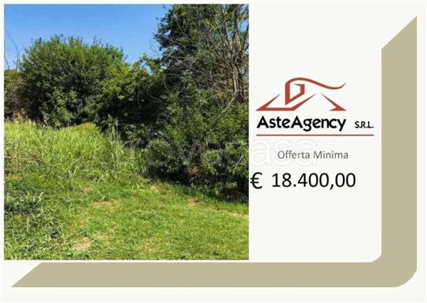 terreno agricolo in vendita a Megliadino San Vitale
