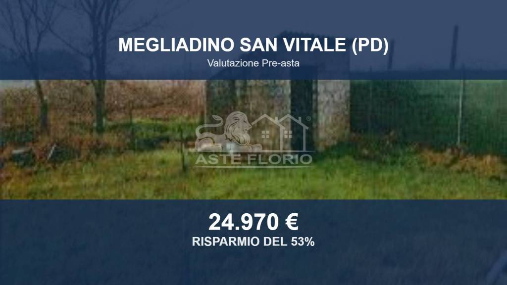casa indipendente in vendita a Megliadino San Vitale