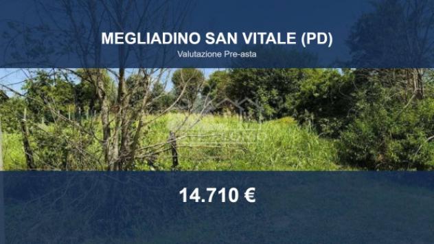 terreno agricolo in vendita a Megliadino San Vitale