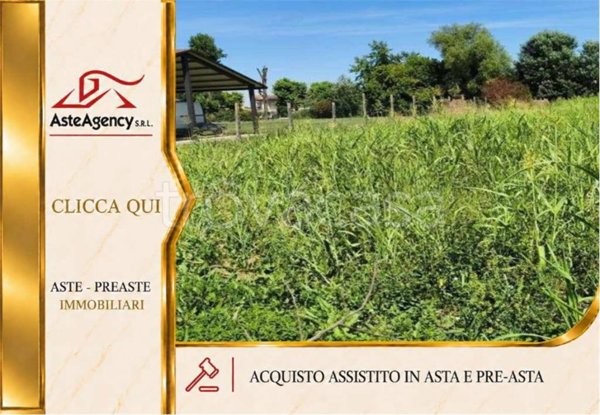 terreno in vendita a Megliadino San Vitale