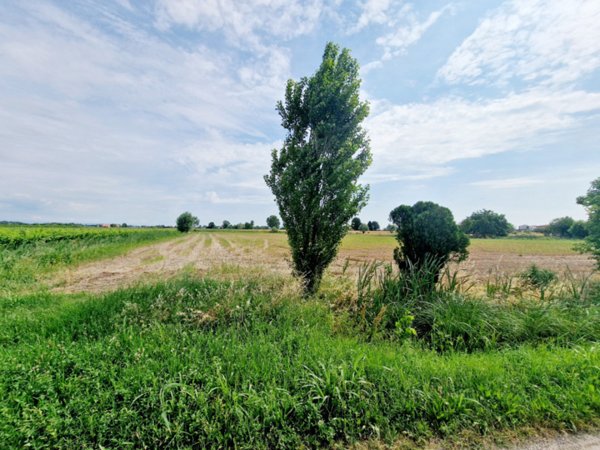 terreno agricolo in vendita a Merlara