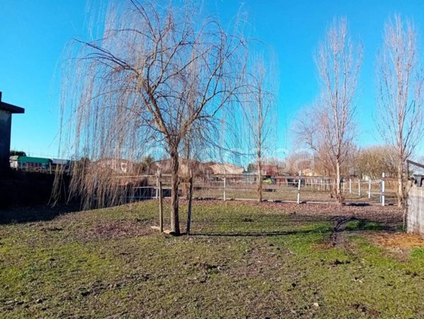 casa indipendente in vendita a Merlara