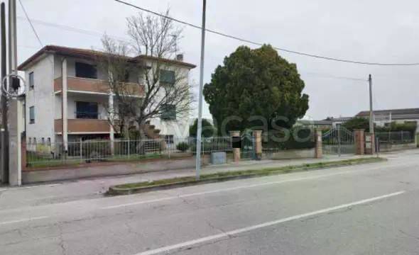 appartamento in vendita a Merlara