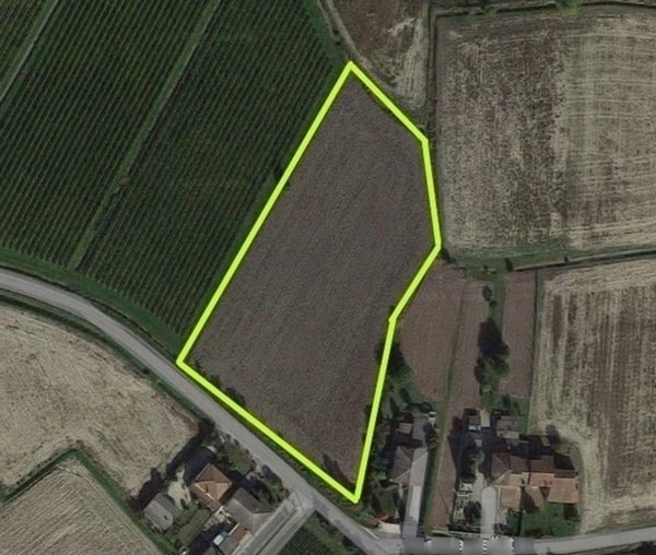 terreno agricolo in vendita a Merlara