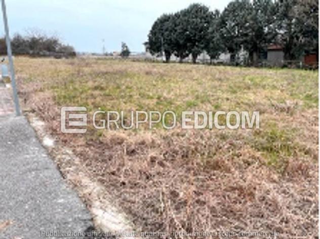 terreno edificabile in vendita a Merlara