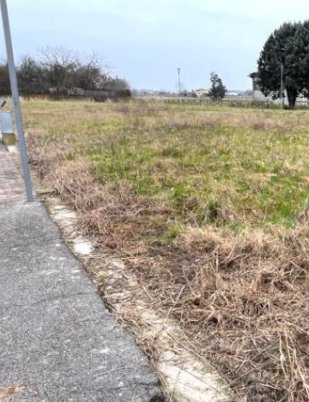 terreno edificabile in vendita a Merlara