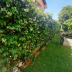 appartamento in vendita a Mestrino