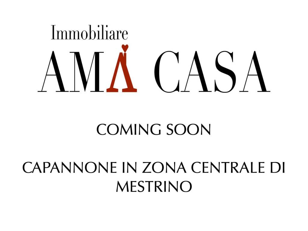 appartamento in vendita a Mestrino