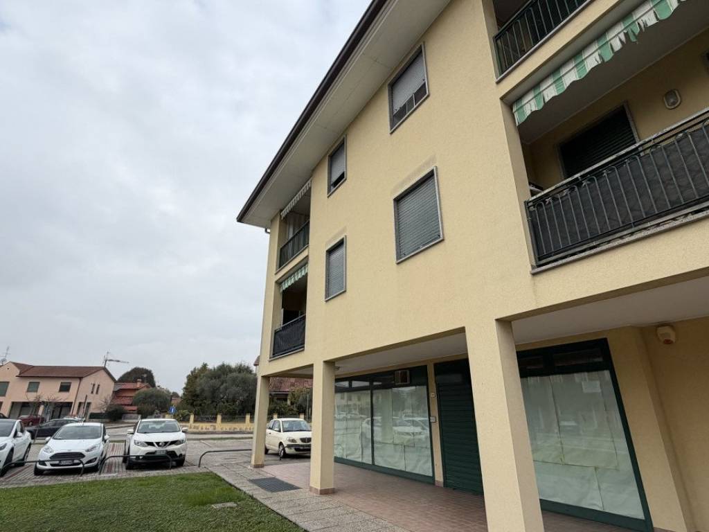 appartamento in vendita a Mestrino in zona Lissaro