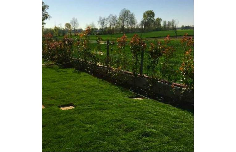 casa indipendente in vendita a Mestrino in zona Lissaro