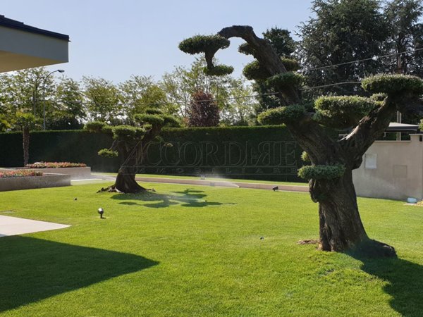 appartamento in vendita a Mestrino