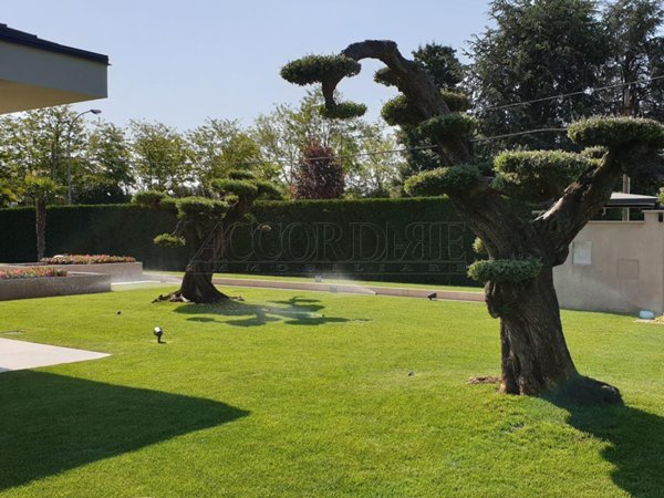 appartamento in vendita a Mestrino