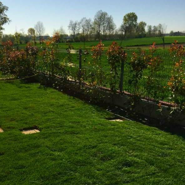 casa indipendente in vendita a Mestrino in zona Lissaro