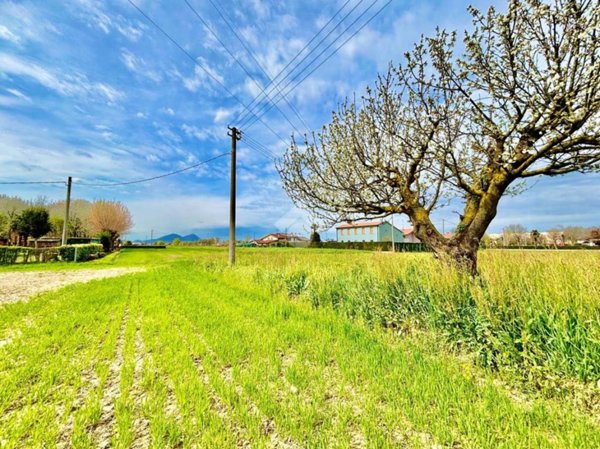 terreno agricolo in vendita a Mestrino