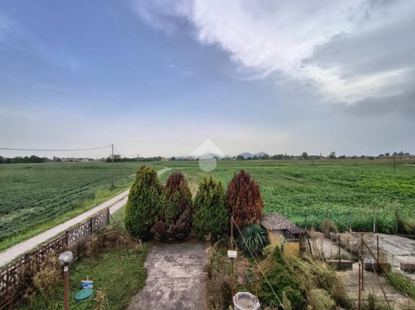 casa indipendente in vendita a Mestrino in zona Arlesega