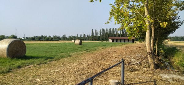 terreno agricolo in vendita a Monselice