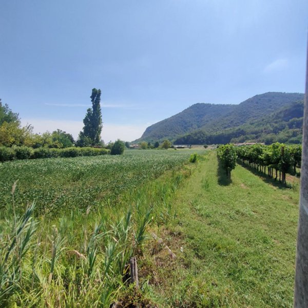 terreno edificabile in vendita a Monselice in zona Monticelli