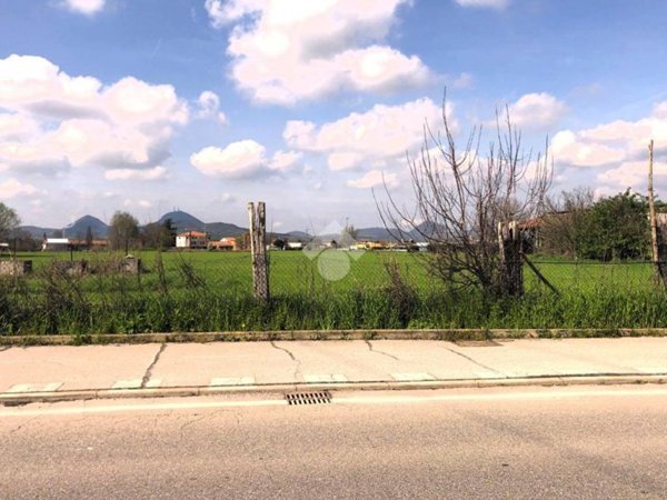 terreno agricolo in vendita a Monselice in zona Ca' Oddo