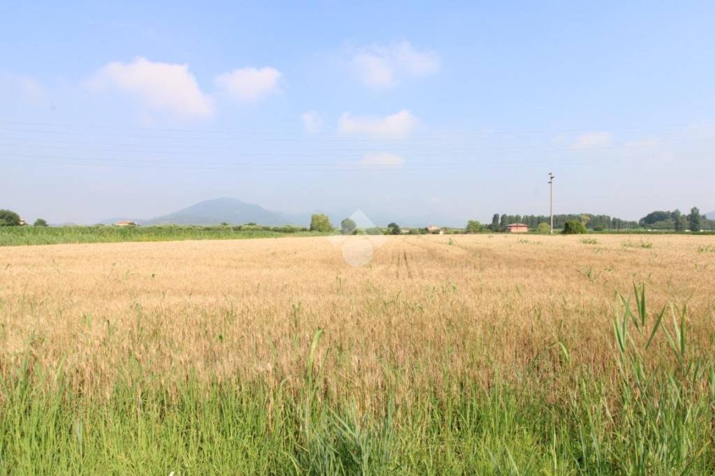terreno agricolo in vendita a Monselice