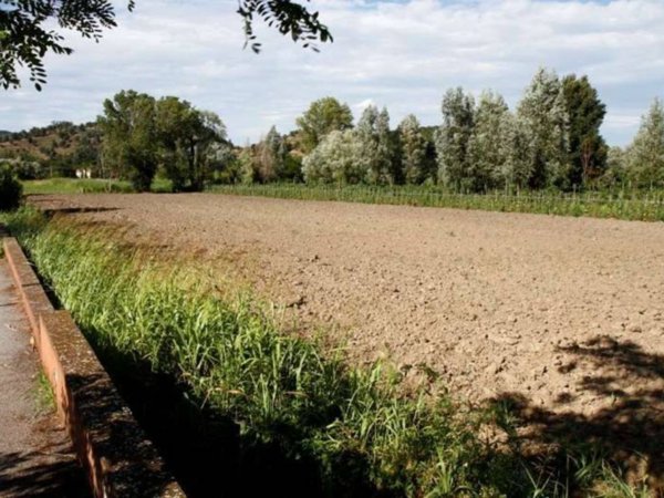 terreno agricolo in vendita a Monselice in zona Monticelli