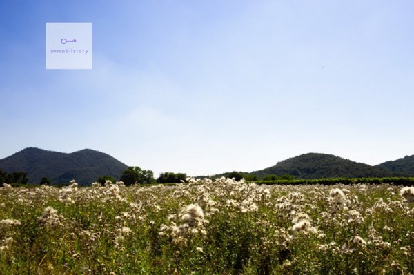 terreno agricolo in vendita a Monselice in zona Monticelli