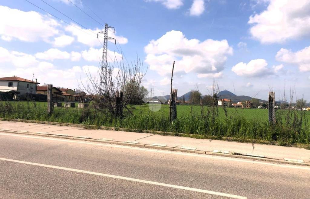 terreno agricolo in vendita a Monselice in zona Ca' Oddo