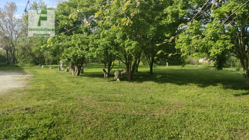 terreno agricolo in vendita a Monselice