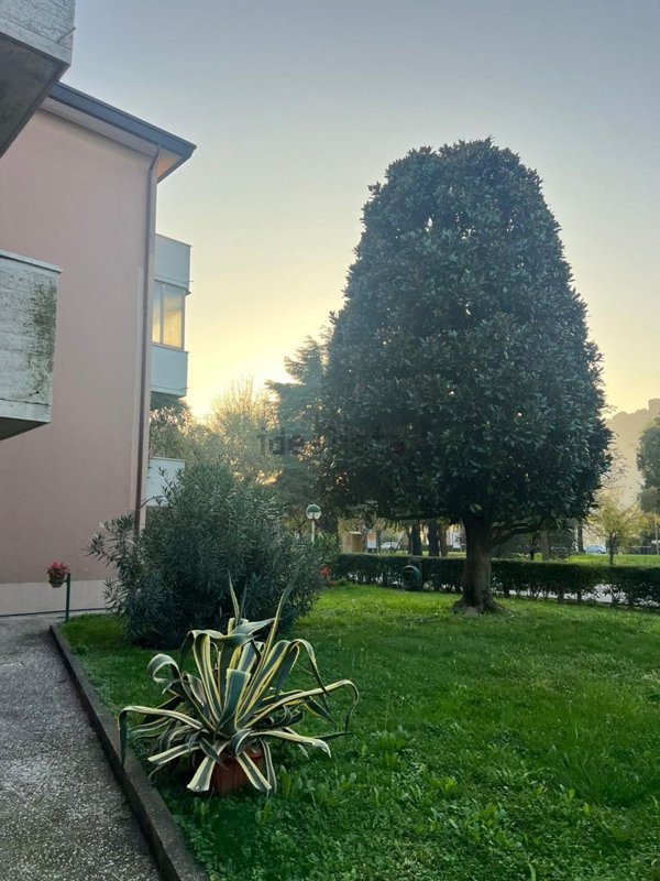 appartamento in vendita a Monselice