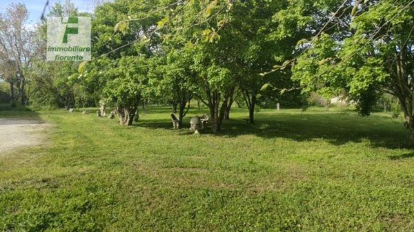 terreno agricolo in vendita a Monselice