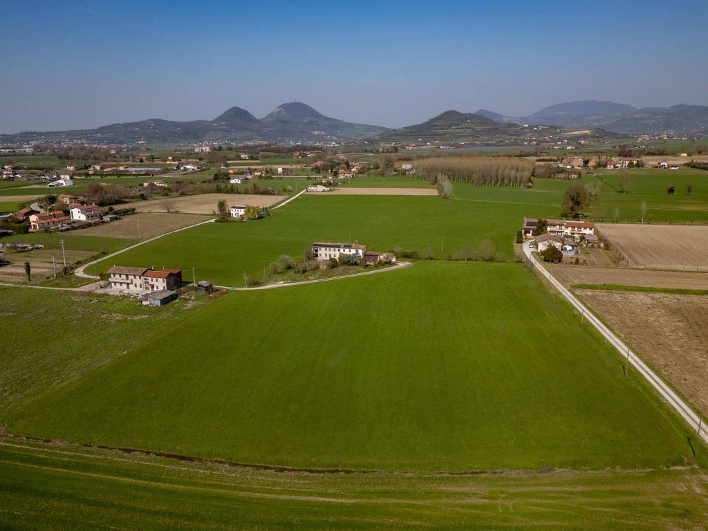 terreno agricolo in vendita a Monselice
