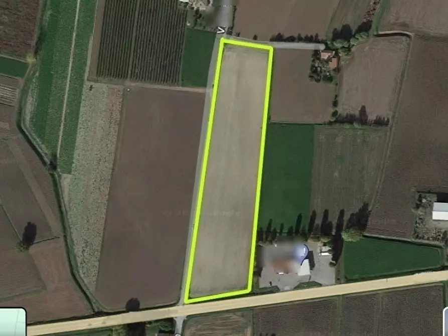terreno agricolo in vendita a Monselice in zona San Cosma