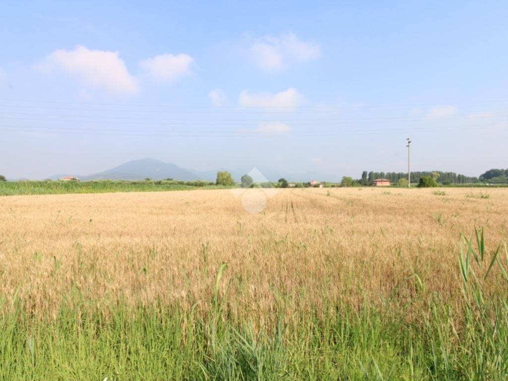 terreno agricolo in vendita a Monselice