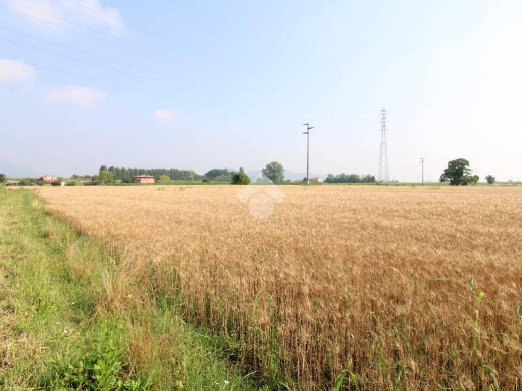 terreno agricolo in vendita a Monselice