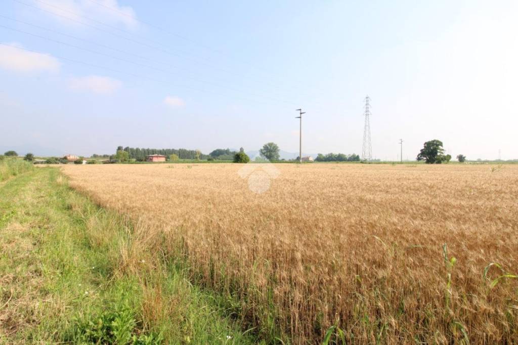 terreno agricolo in vendita a Monselice
