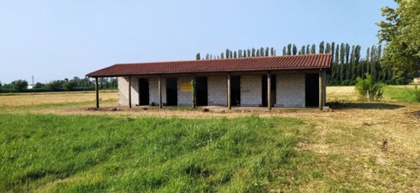 terreno agricolo in vendita a Monselice