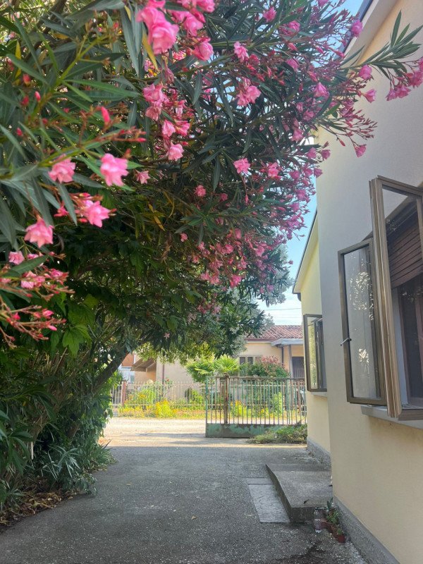 casa indipendente in vendita a Monselice