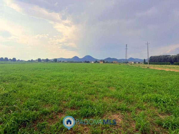 casa indipendente in vendita a Monselice in zona Ca' Oddo