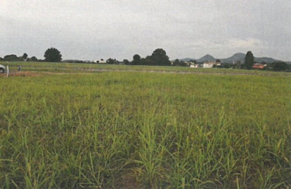 terreno edificabile in vendita a Monselice in zona Ca' Oddo