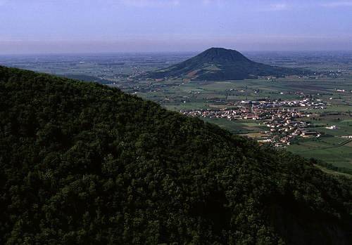 negozio in vendita a Monselice