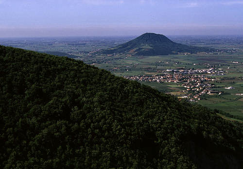 negozio in vendita a Monselice