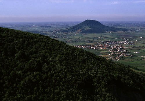 negozio in vendita a Monselice