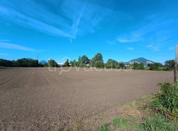casa indipendente in vendita a Monselice